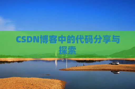 CSDN博客中的代码分享与探索